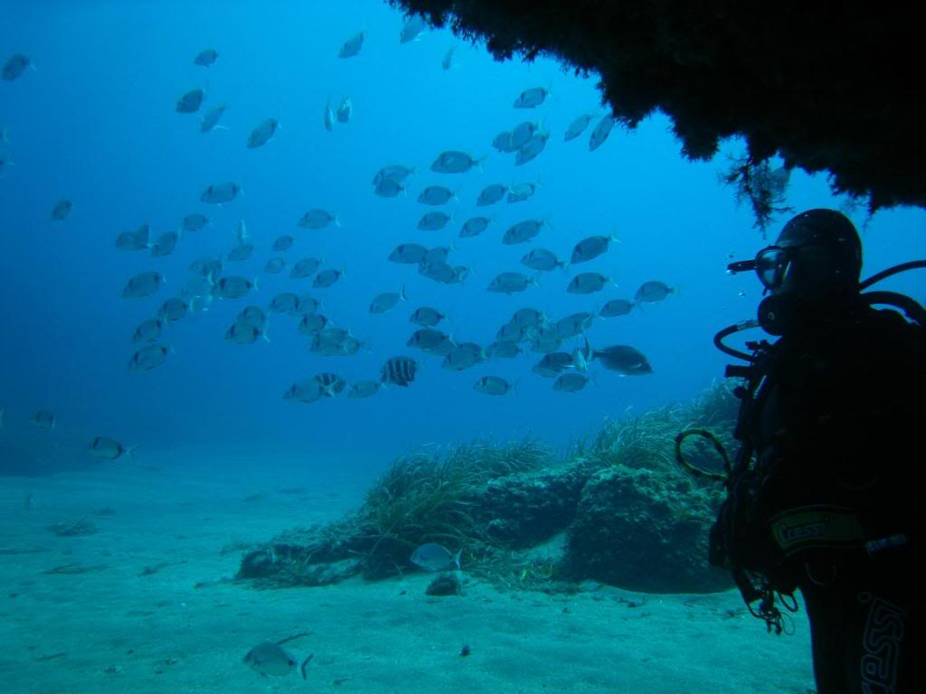 diving in carboneras - casa sol y luz